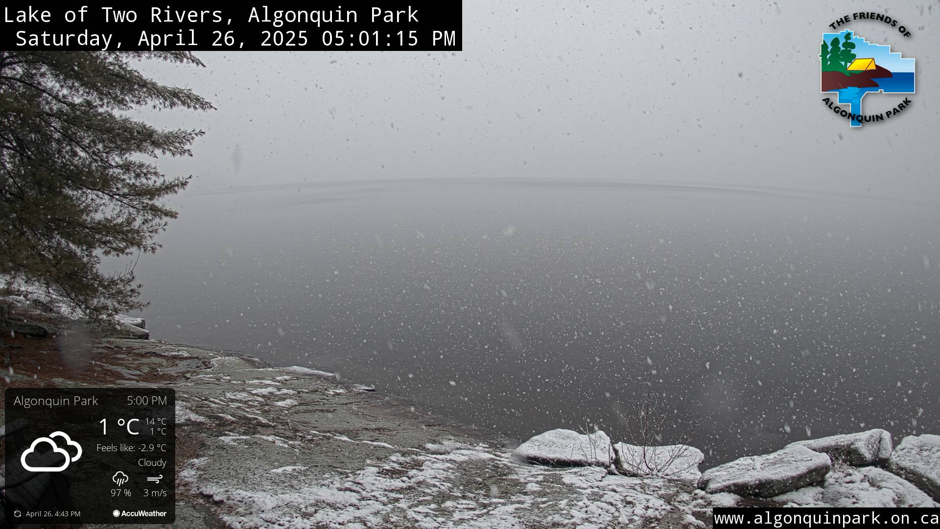 Image: Lake of Two Rivers in Algonquin Park on April 26, 2025 (click to enlarge).