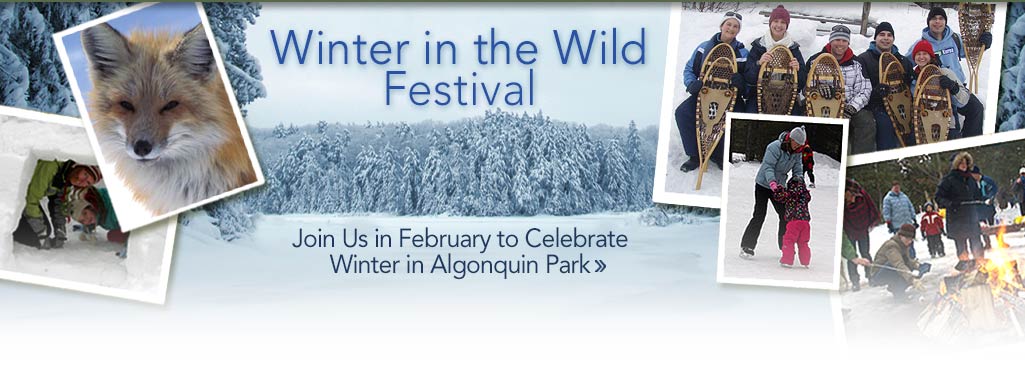 Winter in the Wild Festival