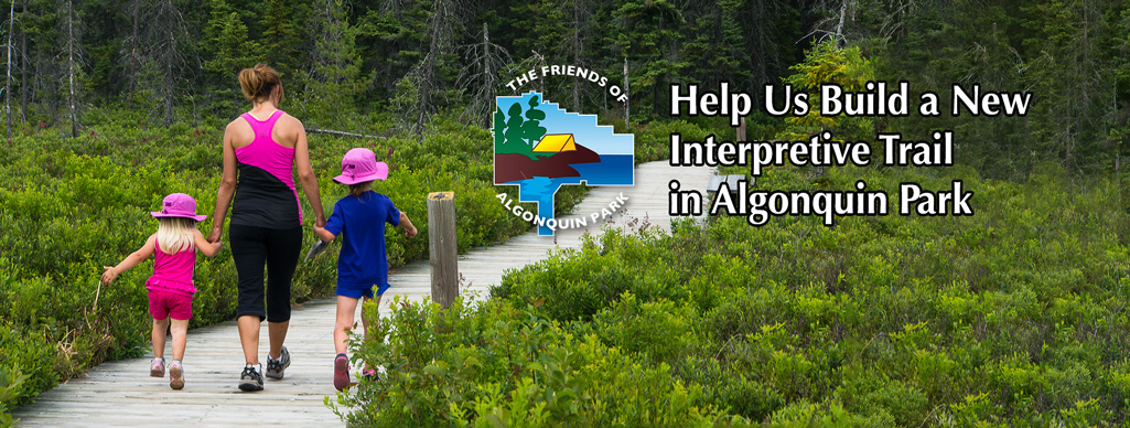 Help Us Build a New Interpretive Hiking Trail in Algonquin Park